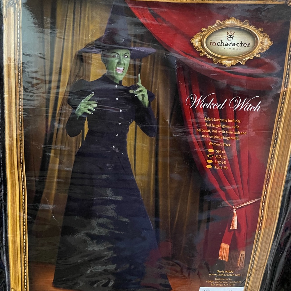 Wizard of Oz Wicked Witch Costume